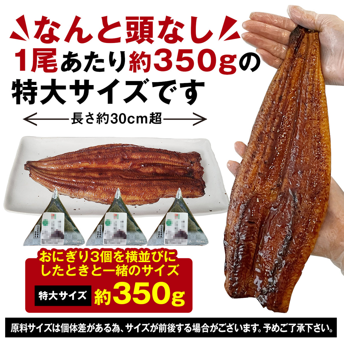 うなぎ蒲焼き １尾 特大 【中国産】｜中央市場OSAKA