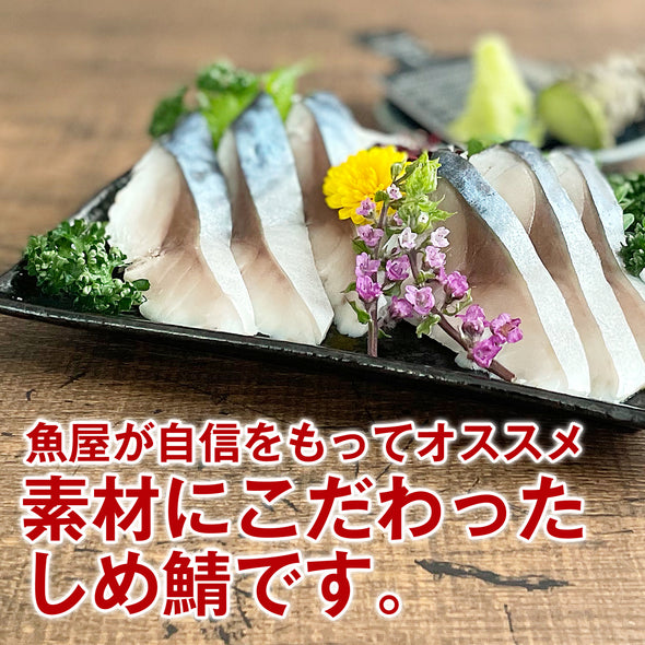 【送料無料】千葉県 銚子産 しめ鯖 ３枚セット