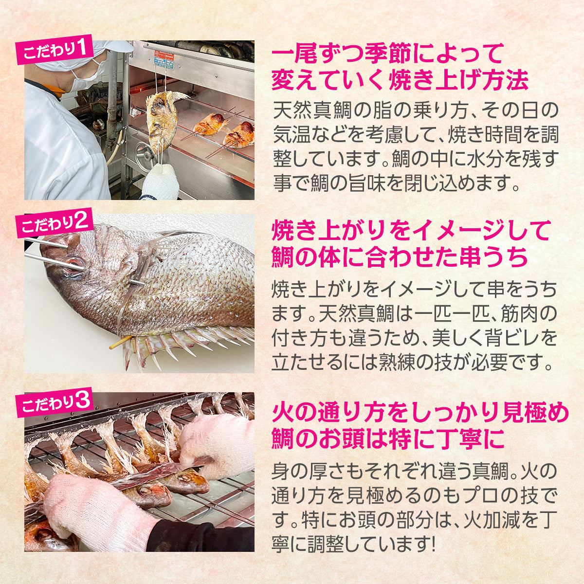 天然真鯛使用　長崎県産　祝鯛（3〜4人前）｜中央市場OSAKA